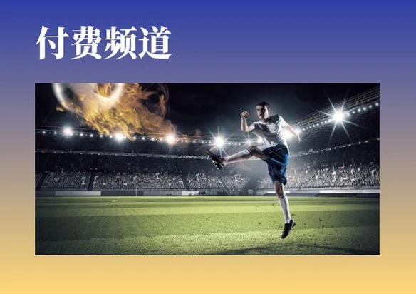 付费频道